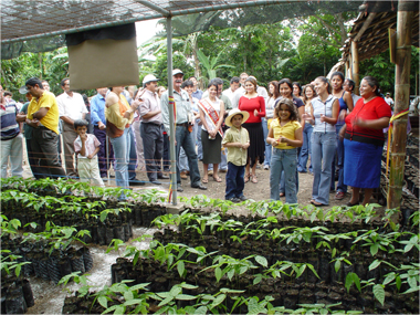 werkelijk fair trade-chocolade